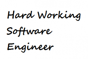 hard working software engineer