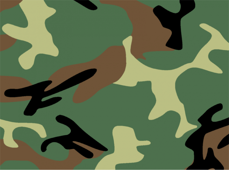 define camouflage