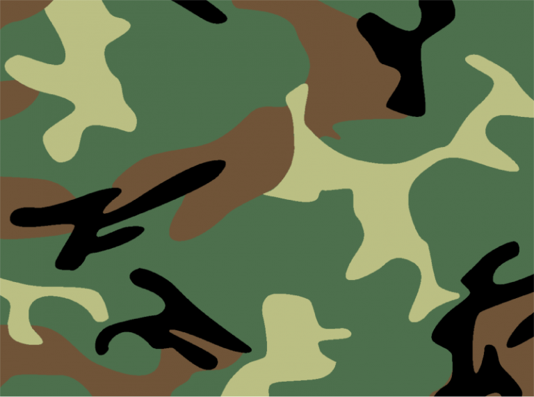 Camo Meaning Spinfold