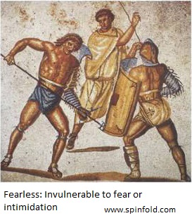 Meaning of fearless